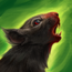 Summon Squirrel