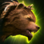 Summon Bear